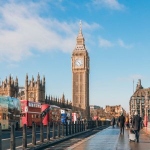 London + Vegan Campout August 2026